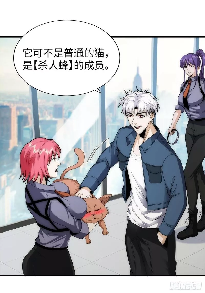 我真的好怕啊！,042 审判猫咪,第29张